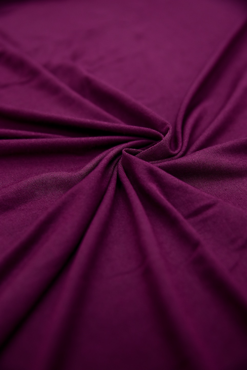 LYCRA COTTON PLAIN